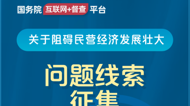 操笔看片国务院“互联网+督查”平台公开征集阻碍民营经济发展壮大问题线索